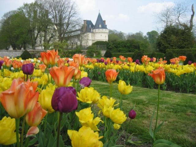 Mesnieres-en-Bray Le Refuge De Normandie Avec Spa Et Cheminee מראה חיצוני תמונה